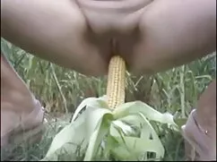 Siederà avvitato vid ...